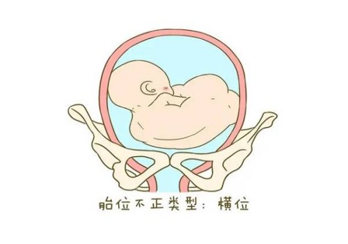 成都供精试管：Y染色体的作用你都了解吗？