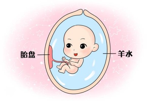 成都供卵试管：2023江山市妇幼保健院试管婴儿指引手册，费用及成功率参考