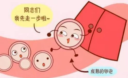 成都三代试管助孕中心：移植鲜胚成功率低？或与这几个原因有关